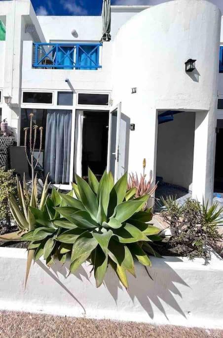 Apartmán 17 Puerto Del Carmen Blueshark Exteriér fotografie